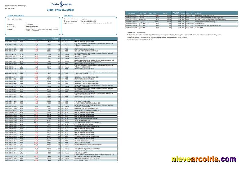 Turkey Bankasi bank statement 2 pages
